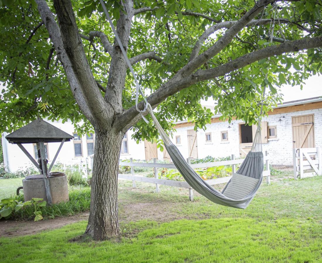 Cozy Airport Lägenhet Vecsés Exteriör bild